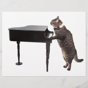 Prospectus 21,6 Cm X 24,94 Cm Chat Jouer Piano