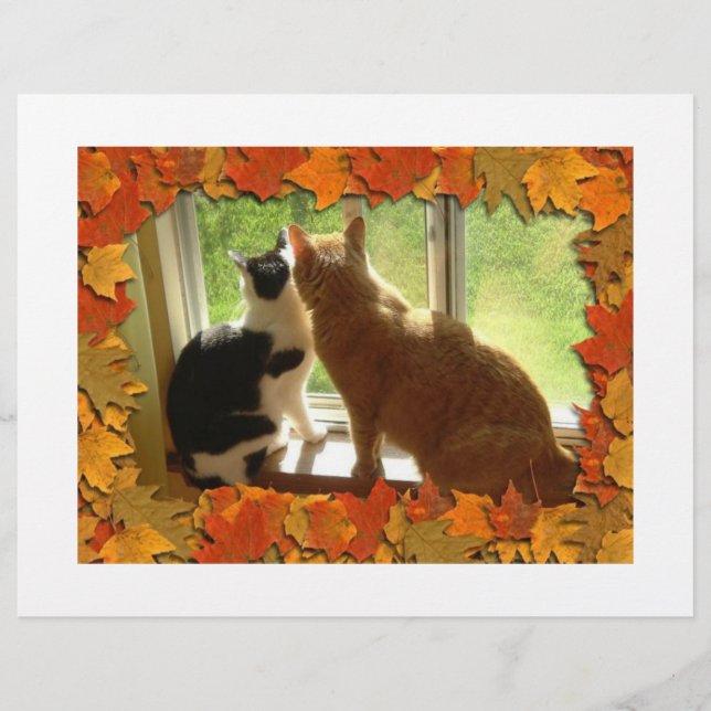 Prospectus 21,6 Cm X 24,94 Cm Chats d'automne (Devant)