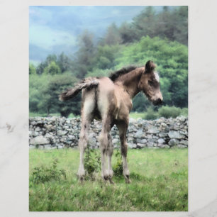 PROSPECTUS 21,6 CM X 24,94 CM CHEVAUX