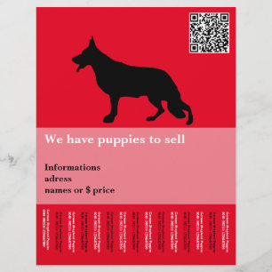 Prospectus 21,6 Cm X 24,94 Cm Chien berger minimal personnalisé