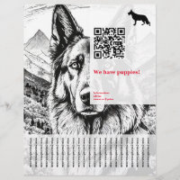Chien de berger Flyer