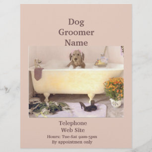 Prospectus 21,6 Cm X 24,94 Cm Chien Groomer Animaux de compagnie Services Busine