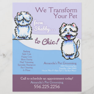 Prospectus 21,6 Cm X 24,94 Cm Chien Groomer Shabby Chic Westie Promotion