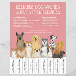 Prospectus 21,6 Cm X 24,94 Cm Chien moderne Walker Animaux de compagnie Sitter r