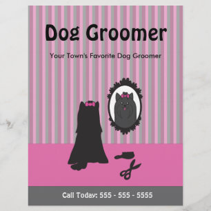 Prospectus 21,6 Cm X 24,94 Cm Chien rose et miroir Chien Grooming Flyer