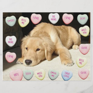 Prospectus 21,6 Cm X 24,94 Cm Chiot Valentine Golden Retriever