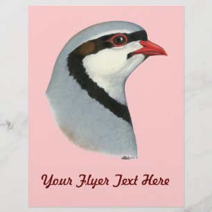 Prospectus 21,6 Cm X 24,94 Cm Chukar : tête de perdrix