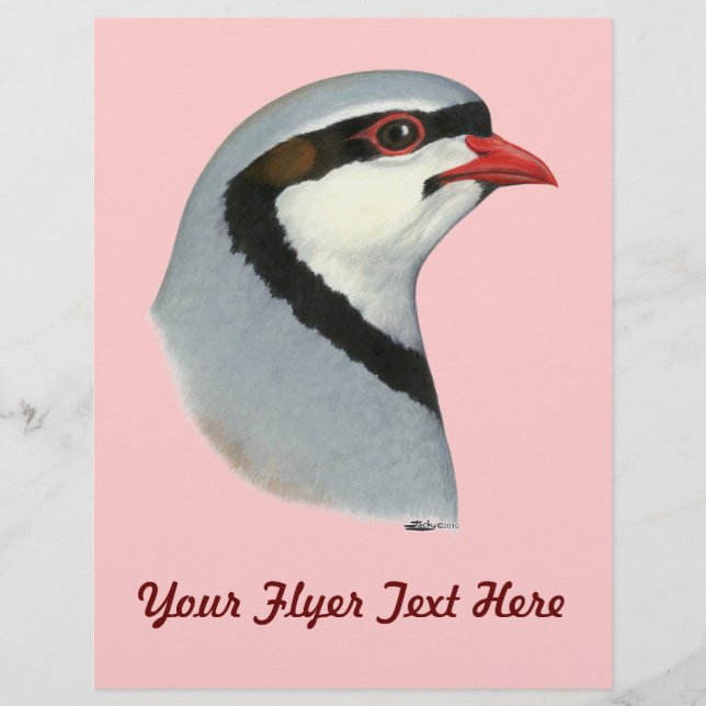 Prospectus 21,6 Cm X 24,94 Cm Chukar : tête de perdrix (Devant)