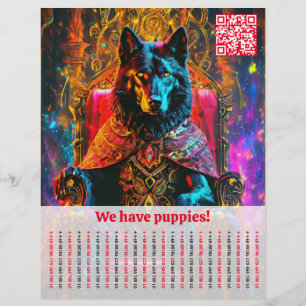 Prospectus 21,6 Cm X 24,94 Cm Circulaire du berger chien