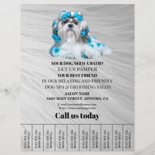 Prospectus 21,6 Cm X 24,94 Cm Circulaire personnalisée de toilettage de chiens