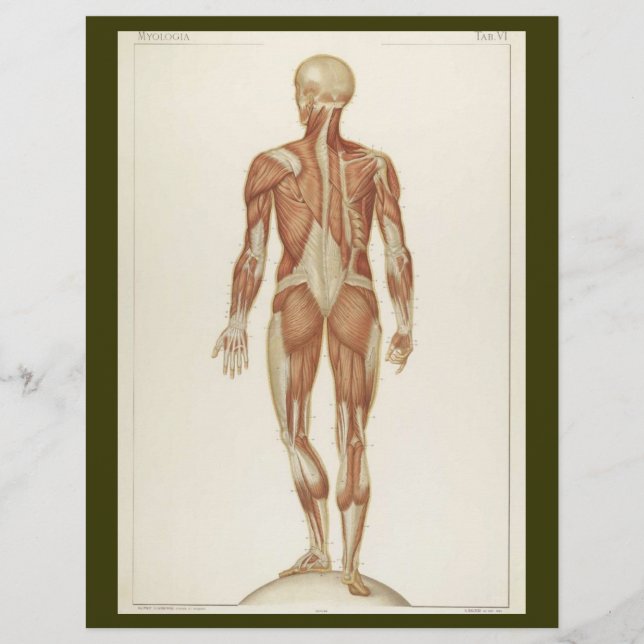 Prospectus 21,6 Cm X 24,94 Cm Circulaire postérieur (Devant)