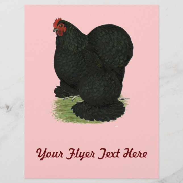 Prospectus 21,6 Cm X 24,94 Cm Cochin : Hen noir (Devant)