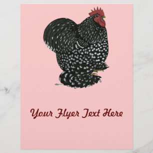 Prospectus 21,6 Cm X 24,94 Cm Cochin : Motte noire