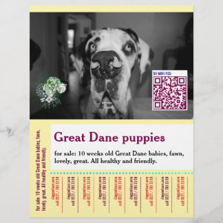 Prospectus 21,6 Cm X 24,94 Cm Colorful tear off dog flyer 