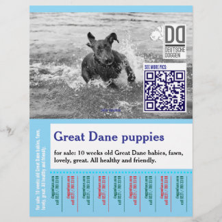 Prospectus 21,6 Cm X 24,94 Cm Colorful tear off dog flyer 