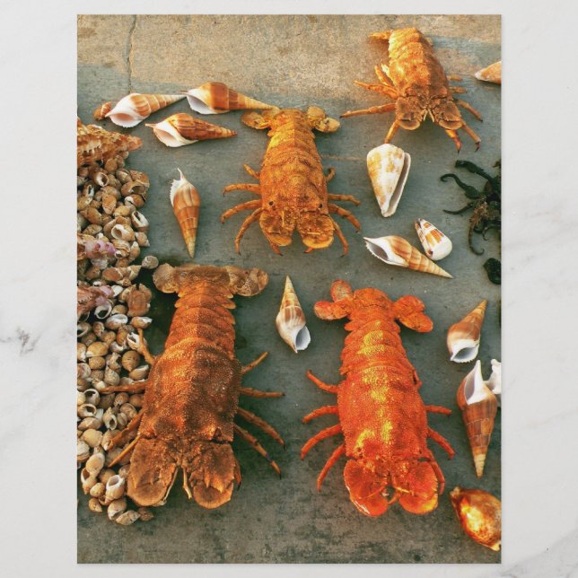 Prospectus 21,6 Cm X 24,94 Cm Coques (Devant)