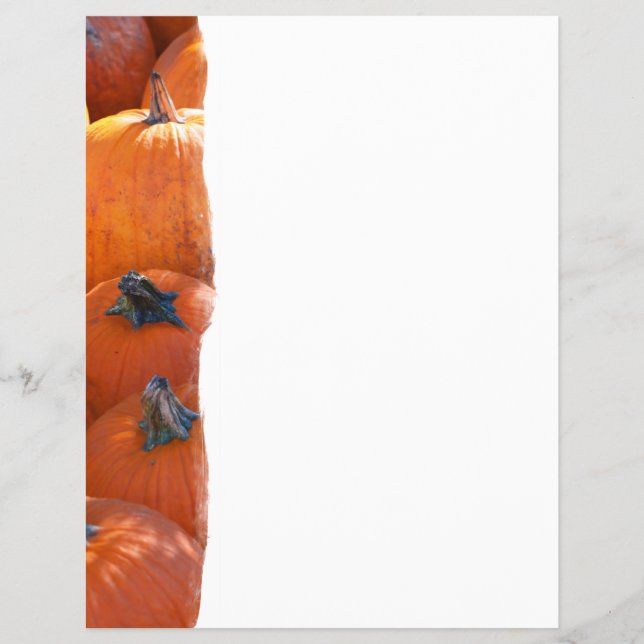 Prospectus 21,6 Cm X 24,94 Cm Correctif citrouille (Devant)