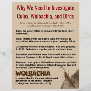 Prospectus 21,6 Cm X 24,94 Cm Culex, Wolbachia et Birds par RoseWrites