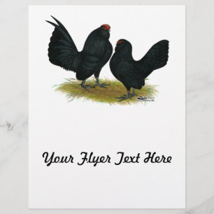 Prospectus 21,6 Cm X 24,94 Cm D'Anvers Black Bantams