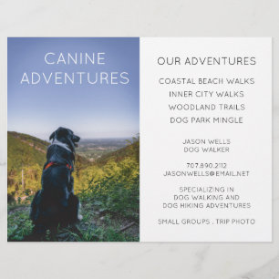 Prospectus 21,6 Cm X 24,94 Cm Dog Walker Adventure