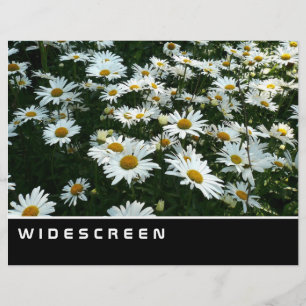 Prospectus 21,6 Cm X 24,94 Cm Écran large - Casta Daisies