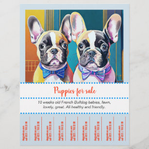 Prospectus 21,6 Cm X 24,94 Cm Éteins de French Buldog Puppy