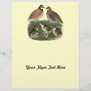 Prospectus 21,6 Cm X 24,94 Cm Famille Bobwhite Quail