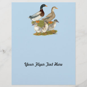 Prospectus 21,6 Cm X 24,94 Cm Famille de canards de Saxe