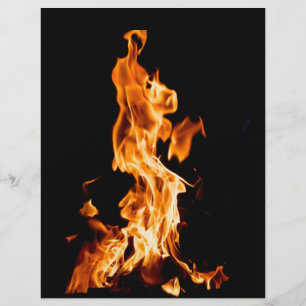 Prospectus 21,6 Cm X 24,94 Cm Feu