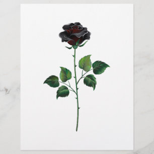 Prospectus 21,6 Cm X 24,94 Cm Fleur rose noire