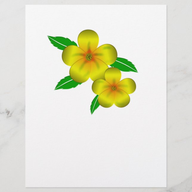 Prospectus 21,6 Cm X 24,94 Cm Fleurs jaunes de Damiana (Devant)