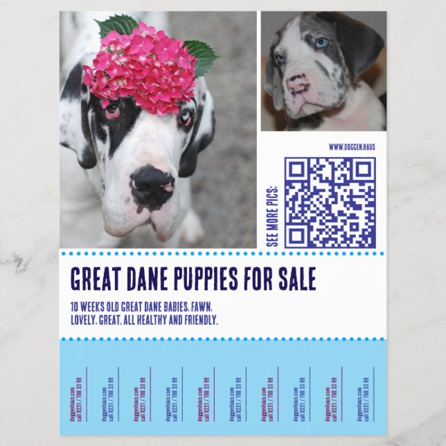 Prospectus 21,6 Cm X 24,94 Cm Flyer  (Devant)