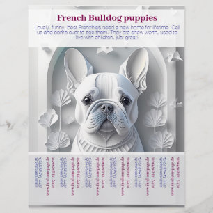Prospectus 21,6 Cm X 24,94 Cm Flyer chiots Bouledogue Français 