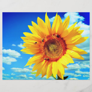 Prospectus 21,6 Cm X 24,94 Cm Flyer de tournesol jaune