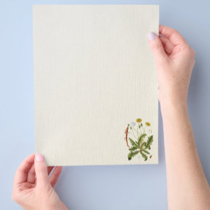 Prospectus 21,6 Cm X 24,94 Cm Flyer d'illustration de Dandelion vintage