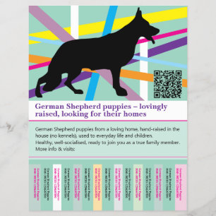 Prospectus 21,6 Cm X 24,94 Cm Flyer personnalisé de chien de berger maximal
