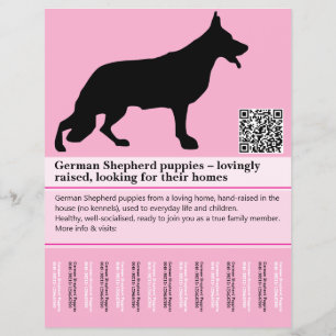 Prospectus 21,6 Cm X 24,94 Cm Flyer personnalisé de Chien de Berger Minimal