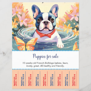 Prospectus 21,6 Cm X 24,94 Cm Flyer pour chiots Bouledogue Français 