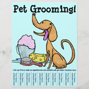 Prospectus 21,6 Cm X 24,94 Cm Flyer Toilettage pour Animaux