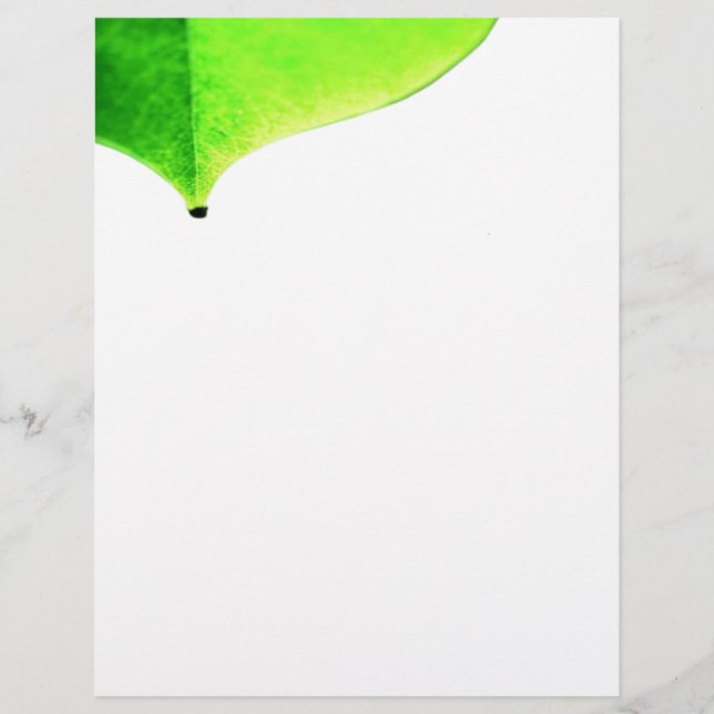 Prospectus 21,6 Cm X 24,94 Cm Flyer vert (Devant)