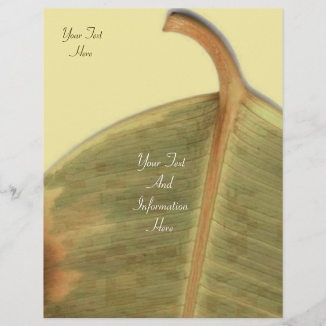 Prospectus 21,6 Cm X 24,94 Cm Flyer vert (Devant)