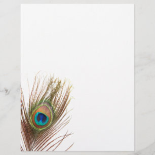 Prospectus 21,6 Cm X 24,94 Cm Flyers Peacock