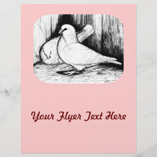 Prospectus 21,6 Cm X 24,94 Cm Géant Runt Pigeons