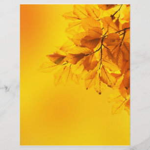 Prospectus 21,6 Cm X 24,94 Cm Golden Fall Leaves Arrière - plan