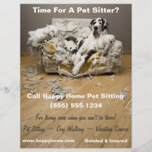 Grande Danse sur Canapé Chebé Animaux de compagnie