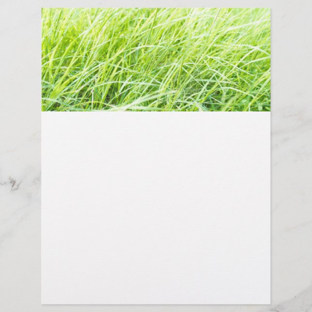 Prospectus 21,6 Cm X 24,94 Cm Herbe verte (Devant)