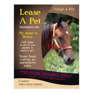 Prospectus 21,6 Cm X 24,94 Cm Horse Adoption Pet Flyer