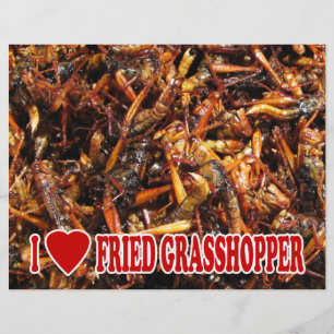 Prospectus 21,6 Cm X 24,94 Cm I Love (Heart) Fried Grasshopper