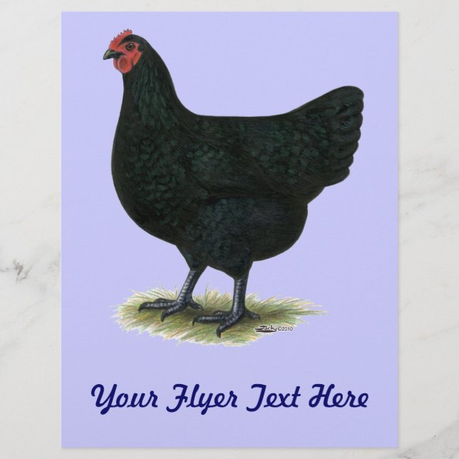 Prospectus 21,6 Cm X 24,94 Cm Jersey Giant : Black Hen (Devant)