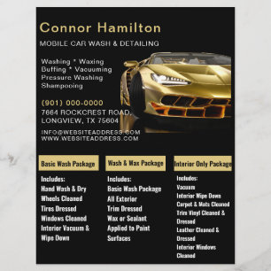 Prospectus 21,6 Cm X 24,94 Cm Lavage de voiture mobile Détail de la pression Lav